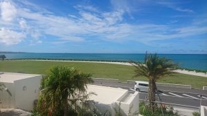 DSC_0562 (2500x1406).jpg